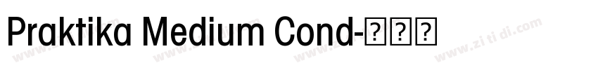 Praktika Medium Cond字体转换